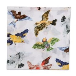 Scully & Scully Cotton Napkins 7 Scully & Scully Cotton Napkins -Tabletop Shop unnamed file 3646